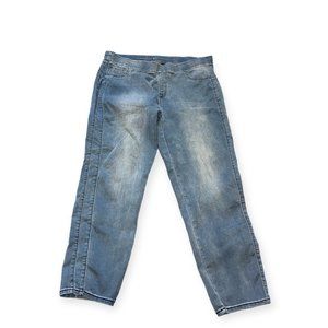 Avenue Denim Skinny Blue Light Wash Jean Pants 18A